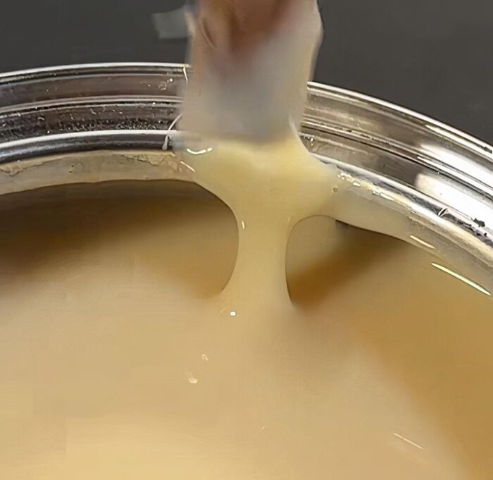 Forbbiden Condensed Milk Is Just As Sticky