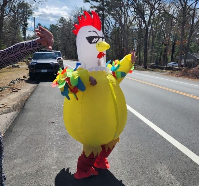 This Blow-Up Chicken Costume Is The Perfect Way To Show Your Silly Side This Halloween - Just Don't Get Too Cocky!