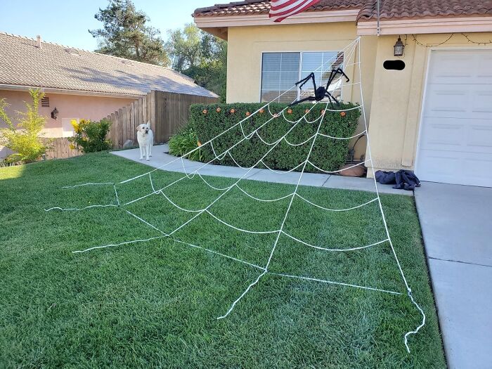 This Giant Spiderweb Will Turn Your Yard Into The Ultimate Halloween Hangout - Just Don't Invite Any Arachnophobes!