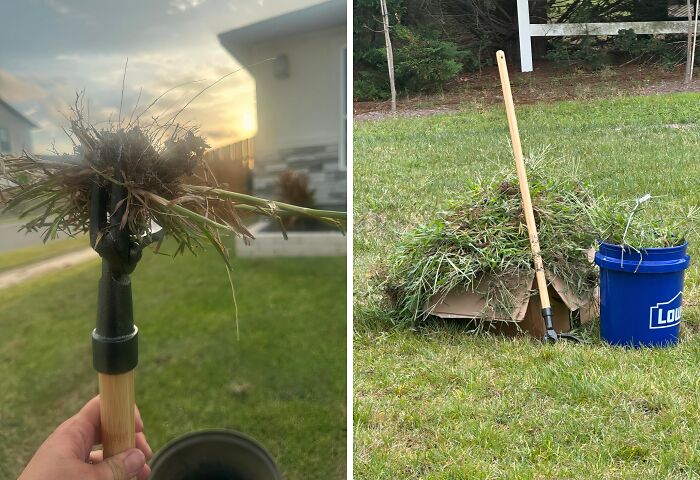 Forget Back-Breaking Weeding Sessions! This Grampa's Weeder Makes Removing Weeds Feel Like A Walk In The Park 