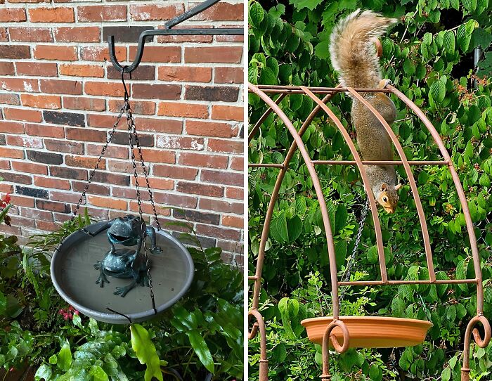 Turn Your Backyard Into A Bird Paradise And Create Your Own Real-Life Snow White Moment With This Enchanting Hanging Bird Bath & Bird Feeder