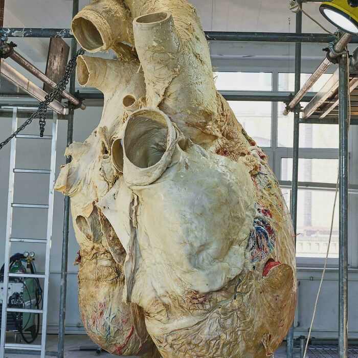 Giant model of a heart displayed in an industrial setting, highlighting absolute units of things.