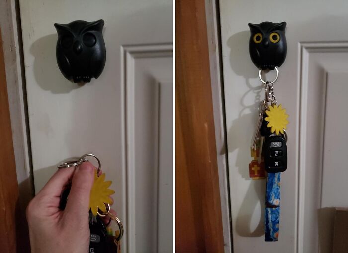 Hoo's Got Your Keys? This Adorable Owl Key Holder Will Keep Them Safe And Sound