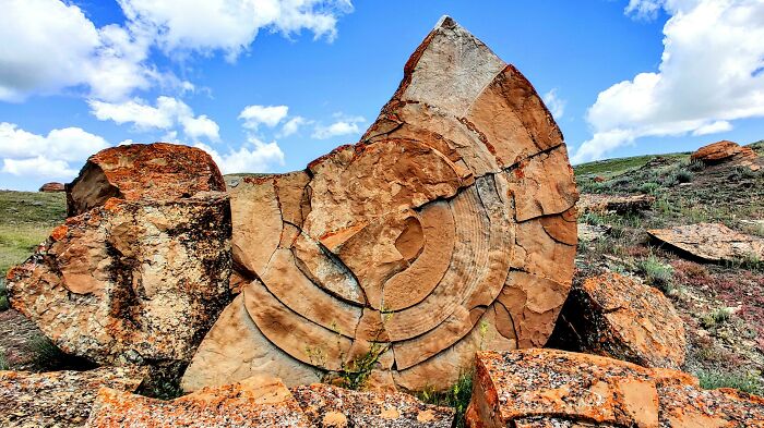 Natural Cross-Section Of An 8-Foot-Tall Sandstone Concretion In Red Rock Coulee, Alberta, Canada