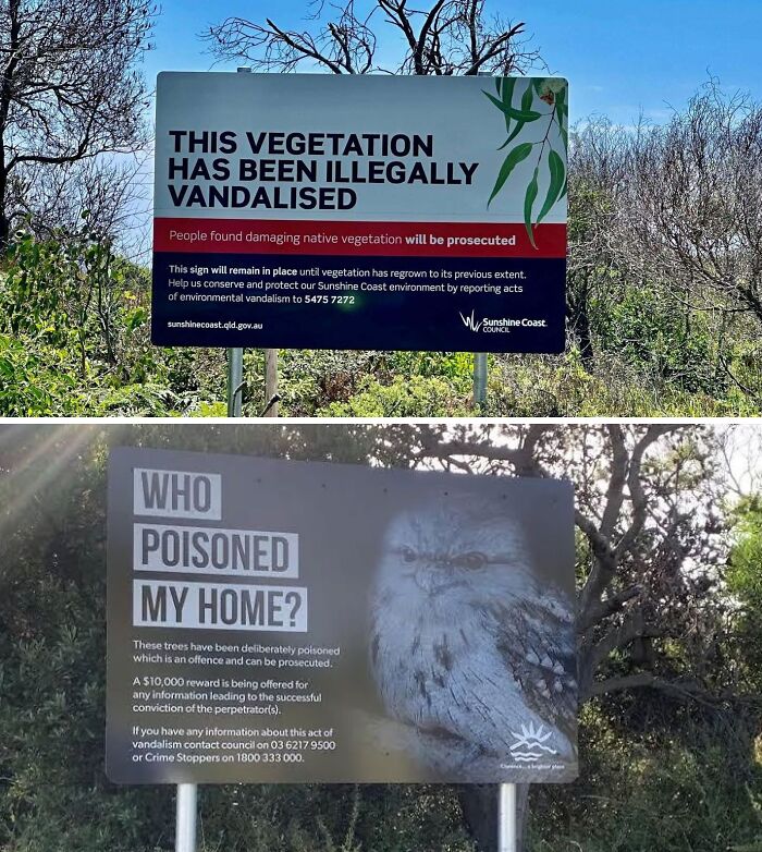 If Someone Cuts Down A Tree For Their View In Australia, Government Installs Sign To Block The View