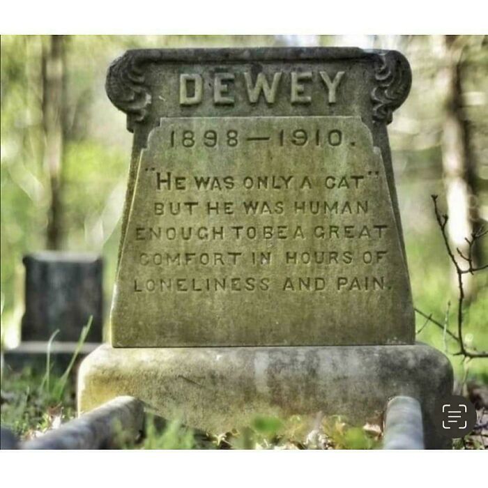 Dewey The Cat, Who Died In 1910, And Meant Enough To His Owner To Be Honored With A Gravestone That Stands Today Over 113 Years Later