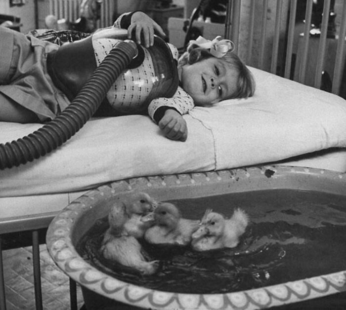 Animals Being Used As Part Of Medical Therapy, 1956