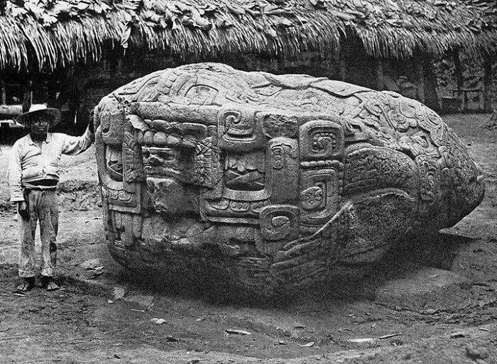 This Photo Was Taken In The Late 1800s And Shows An Ancient Maya Zoomorphic Stone