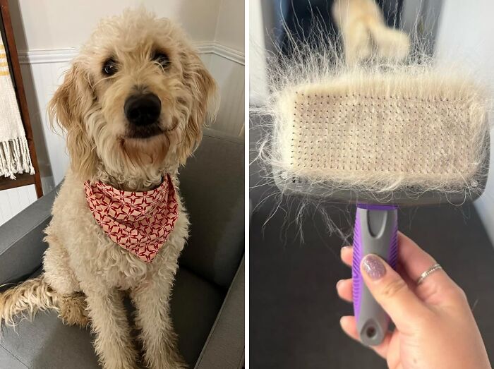 Your Furry Friend Will Be Looking Sleek And Shedding Less With This Self-Cleaning Slicker Brush - It's Basically A Magic Wand For Pet Hair