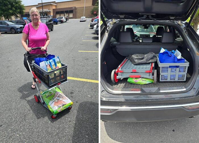 From Grocery Hauls To Beach Trips, This Mobile Folding Trolley Is The Versatile Companion For Every Adventure