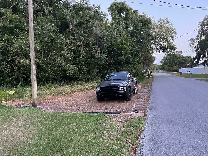 My Neighbor Sprayed Herbicide On My Back Lot To Make Himself A Parking Spot