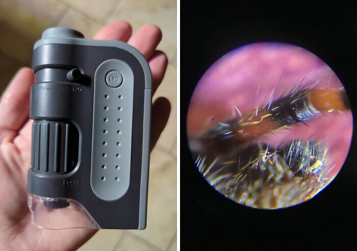 Unleash Your Inner Scientist (Or Just Satisfy Your Curiosity) With This Pocket Microscope - It's Like Having A Whole New World In Your Pocket! 