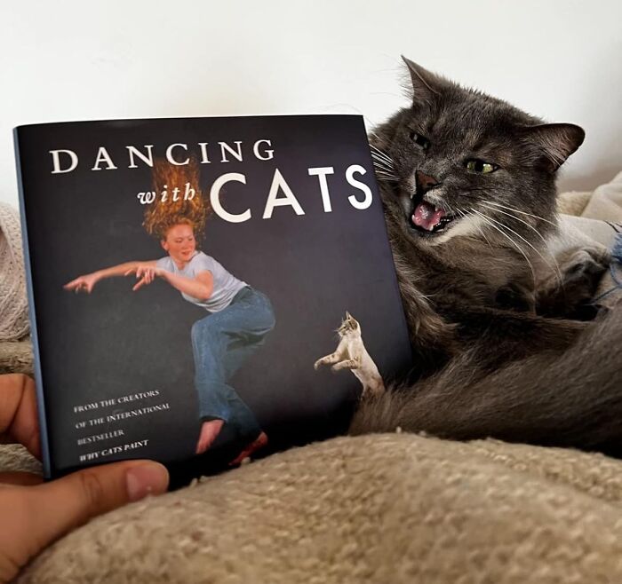 Think Cats Can't Groove? Think Again! Dancing With Cats Will Have You And Your Feline Friend Waltzing In No Time