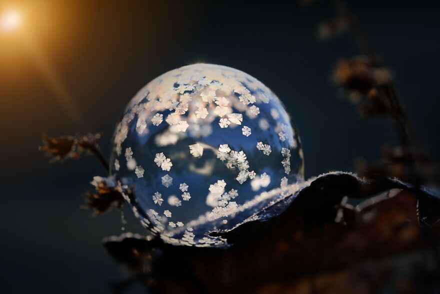 Frozen Bubble World By Sabine Schiebofski