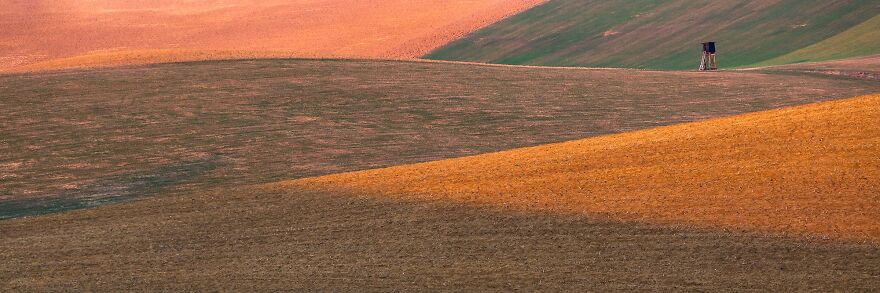 Fields By Milan Gonda