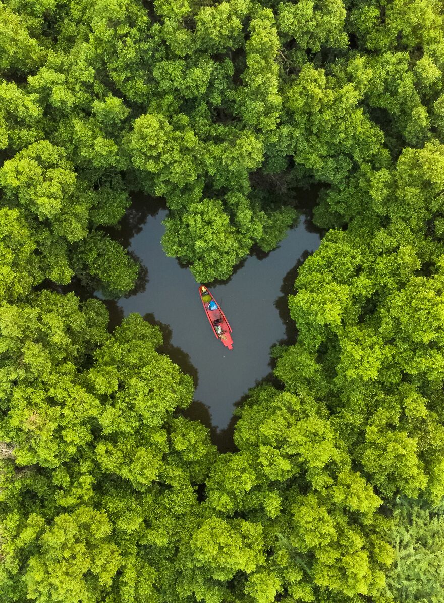 In The Heart Of Mangroves By Mohan G