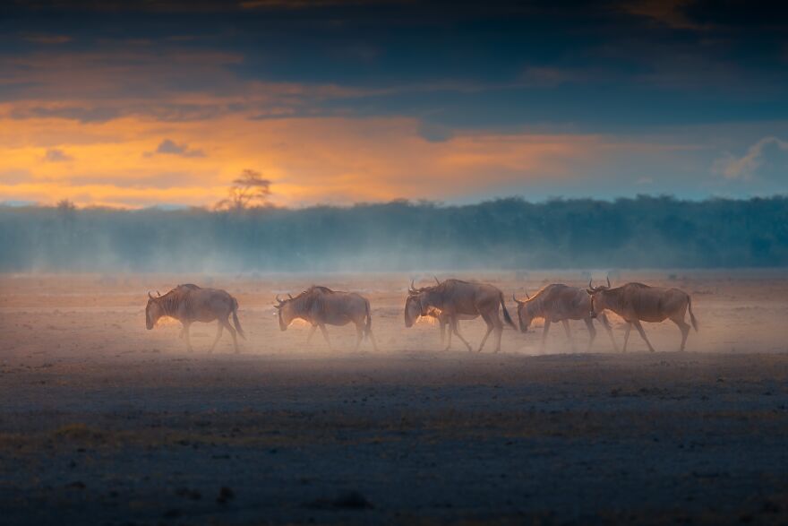 Sunset On The Journey By Ruisheng Zhu