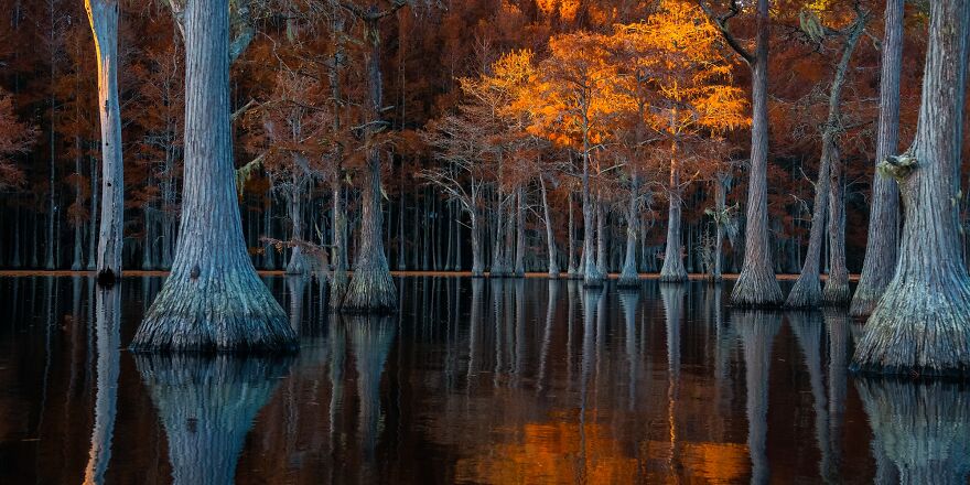 Pond Of A Thousand Lights By Fenqiang Liu