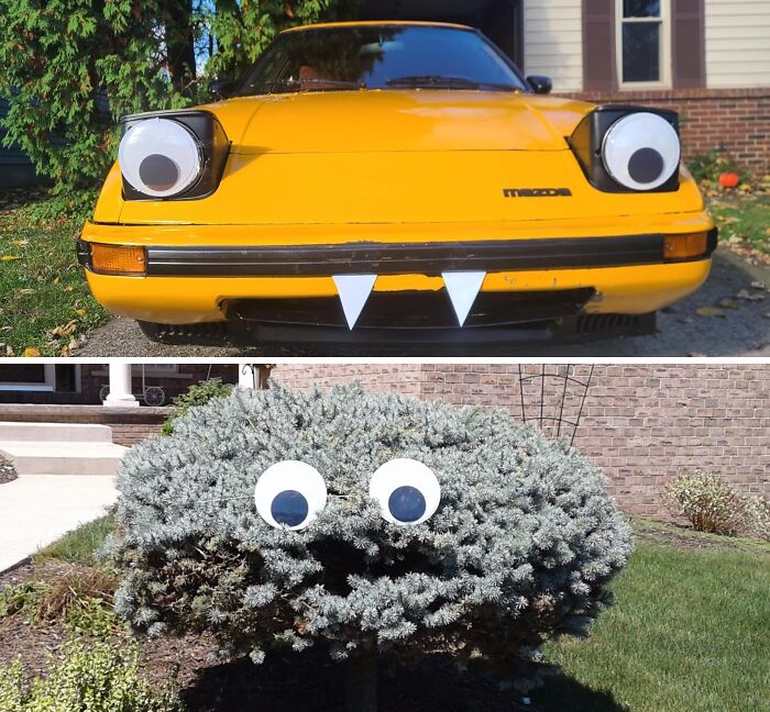 Your Car, Your Fridge, Your Houseplant... Anything Can Come Alive With These Giant Googly Eyes! 