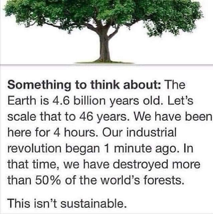 Humans Are Destroying This World