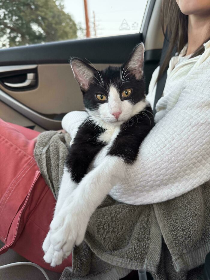 Abandoned Train Cat Needs A Name That Suits Him!