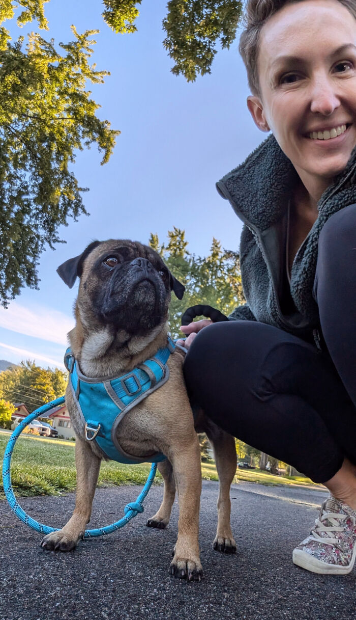 Meet My New Rescue Pug! He's The Sweetest Fella