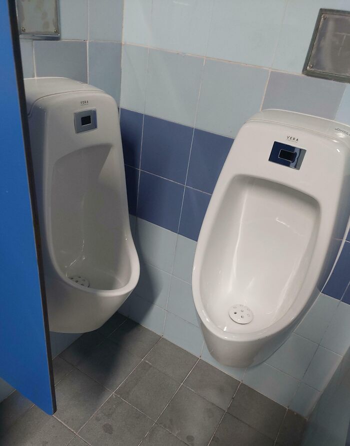 My School's Renovated Toilet