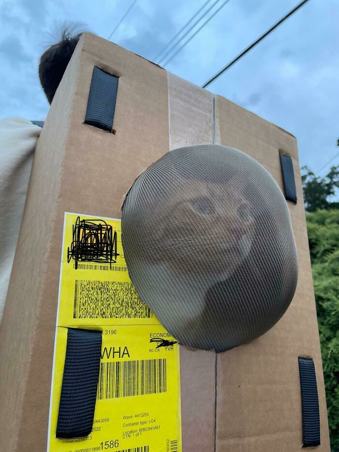 Homemade Kitty Backpack. Ratchet Straps, Cardboard Box, Tape And A Colander