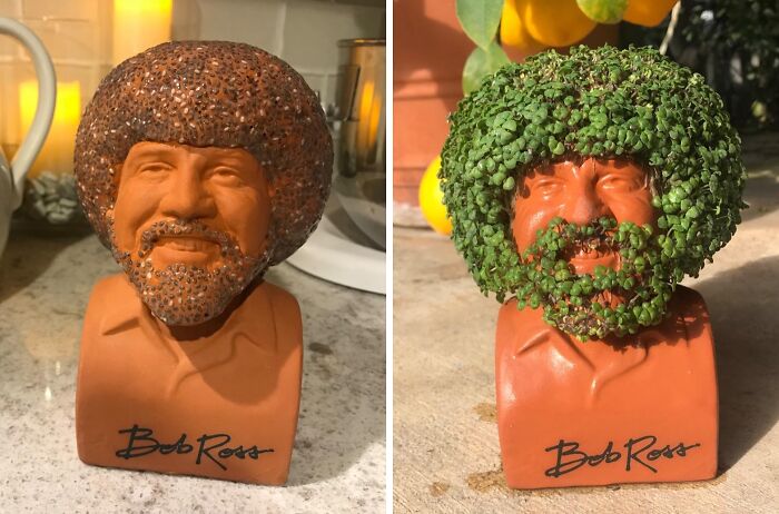 Happy Little Plants? You Betcha! A Bob Ross Chia Pet Is The Perfect Gift For Any Art Lover Or Plant Enthusiast