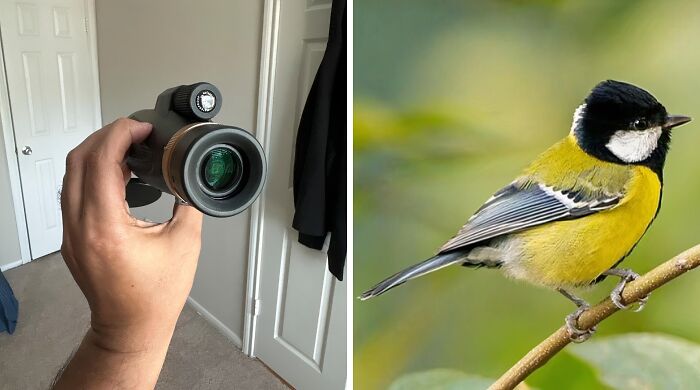 Birdwatching Just Got A Whole Lot More Exciting. This High Power Monocular Telescope Will Bring Those Feathered Friends Up Close And Personal, Without Scaring Them Away