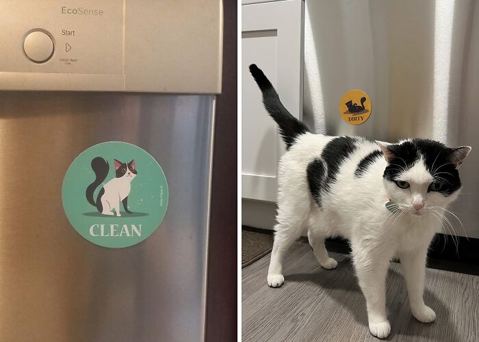 Dishwasher Confusion Got You Feeling Like A Cat Chasing Its Tail? This Clean/Dirty Dishwasher Magnet Will Clear Things Up In A Snap