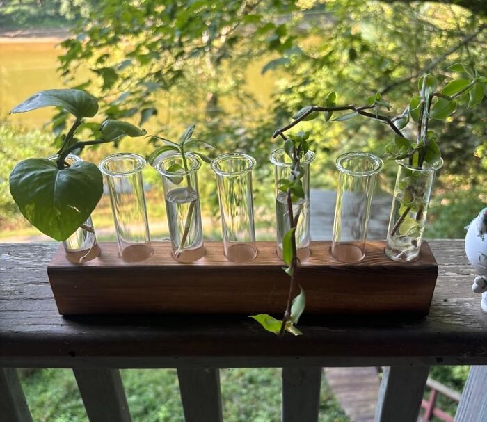 Turn Your Plant Dreams Into Reality (Even If You're A Notorious Plant Killer)! This Plant Terrarium With Wooden Stand Is The Foolproof Way To Propagate Your Favorite Cuttings And Add A Touch Of Green To Any Space