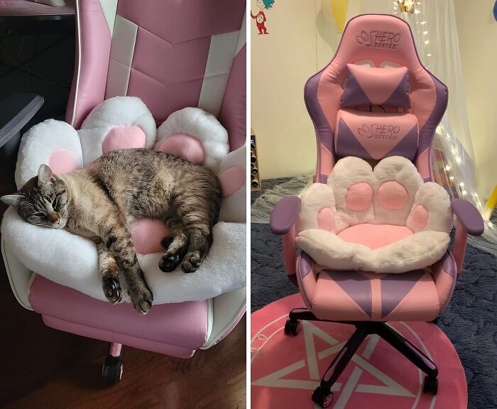 Upgrade Your Gaming Chair To A Throne Of Cuteness! This Cat Paw Cushion Will Have You Feeling Like Royalty (Or At Least A Very Pampered Feline)