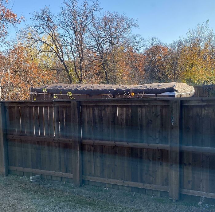 Neighbor Had Us Sign Off So He Could Install A Hot Tub. We Didn’t Know It Would Be The Size Of A Shipping Container That Would Overlook Our Yard