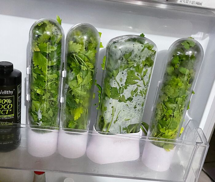 Say Goodbye To Wilted Herbs And Hello To Fresh Flavors! These Prepara Herb Savor Pods Keep Your Herbs Perky For Weeks, So You Can Ditch Those Sad, Soggy Bunches And Elevate Your Cooking Game