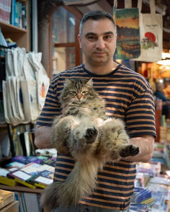 City Cats Of Istanbul By Marcel Heijnen