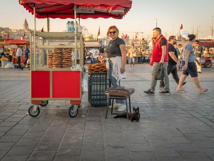 City Cats Of Istanbul By Marcel Heijnen