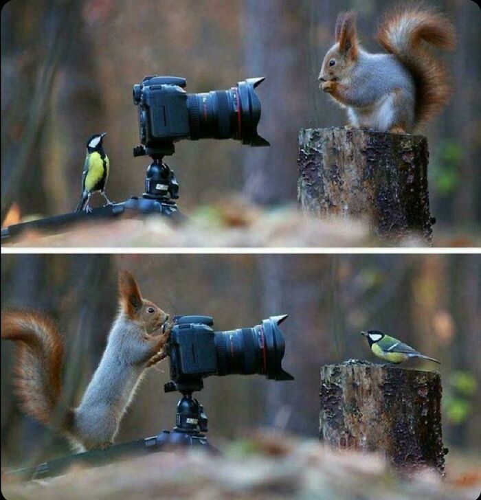 These 2 Frames Captured By The Russian Photographer Vadim Trunov May Be The Cutest Photos Of All Time