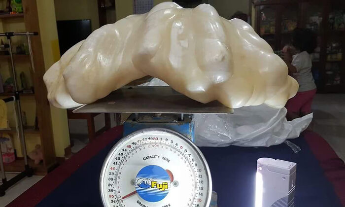 A Fisherman In Philippine Found A Perl Weighing 34kg And Estimated Around $100 Million. Not Knowing It's Value, The Pearl Was Kept Under His Bed For 10 Years As A Good Luck Charm