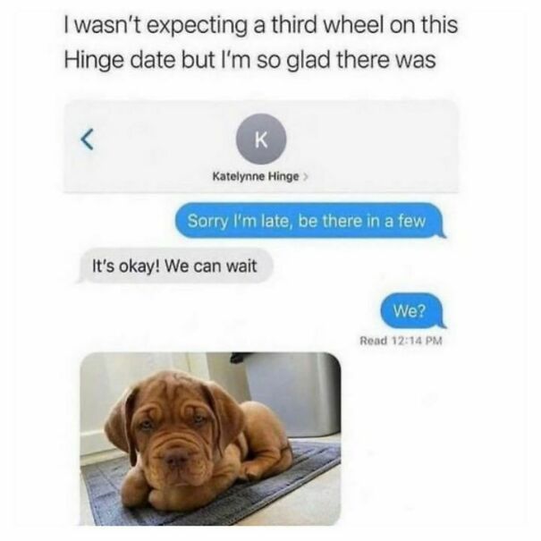 Follow @doggocom2 For Dog Memes Every Day. #dogs #dogsofinstagram #dog #dogstagram #puppy #doglover #dogoftheday #instadog #doglovers #doglife #pets #puppylove #puppies #pet #puppiesofinstagram #dogsofinsta #cute #instagram #of #petsofinstagram #dogslife #doggo #animals #dogmemes #doggomemes #doggos #doggo