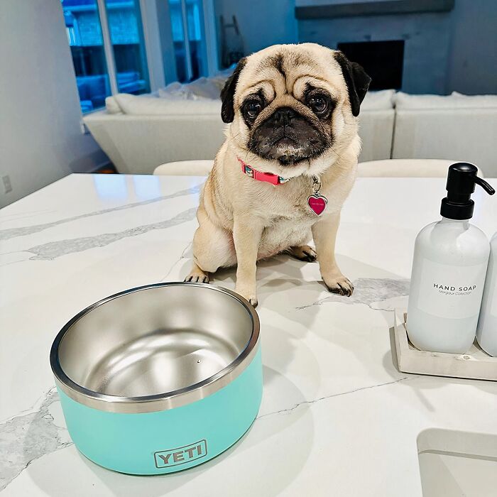 Keep Your Stainless Steel Yeti Dog Bowl , Just Give Us The Pug!