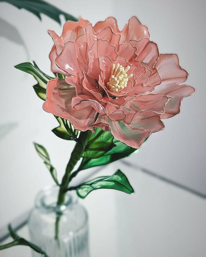 Meet My Light Pink Peony🩷☺️