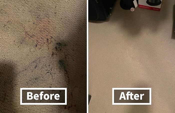 Red Wine Spills Got Your Carpet Looking Like A Crime Scene? Fear Not! This Folex Carpet Spot Remover Will Make That Stain Disappear Faster Than You Got Them There