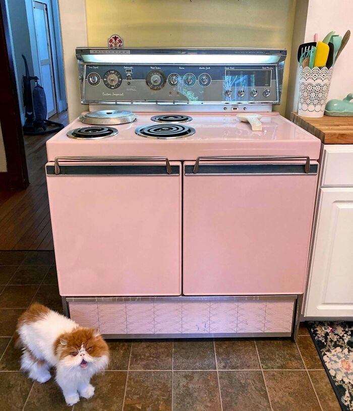 My 1959 Frigidaire Custom Imperial