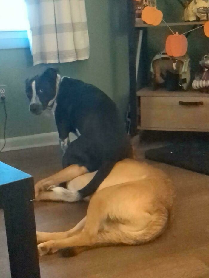 Why Does One Sit On The Other ?