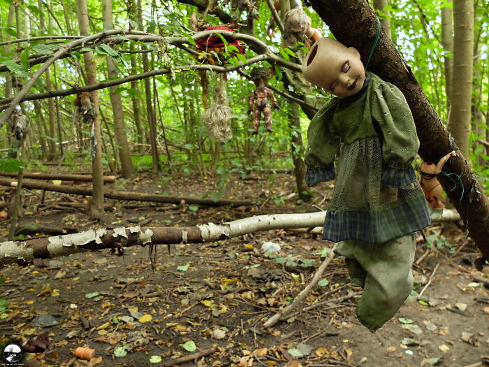 Creepy Dolls In The Forest, Germany