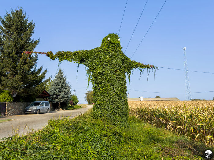 Green Monster, Poland