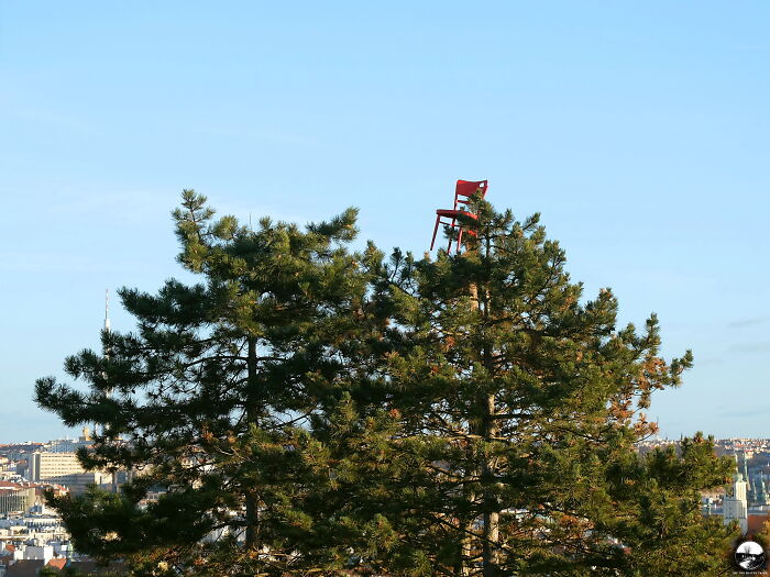 Chair On The Tree, Czech Republic