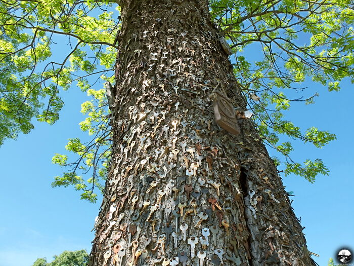 Keys Tree, Lithuania