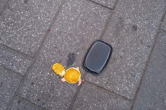 Broken Turtle From The Series Urban Echoes © Joanna Madloch